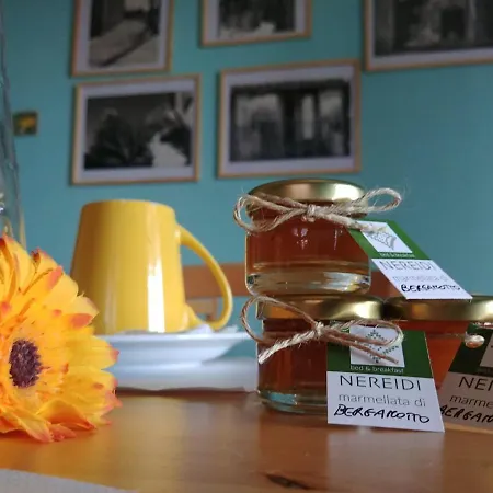 Nereidi Couette-café