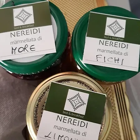 לינה וארוחת בוקר Nereidi