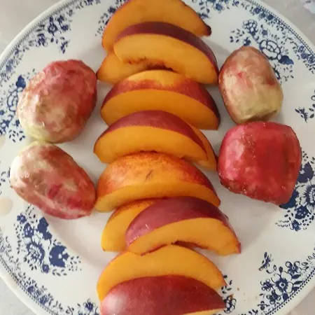 Nereidi