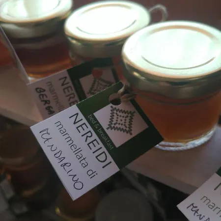 Nereidi Frühstückspension