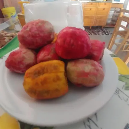 Oda ve Kahvaltı Nereidi 3*