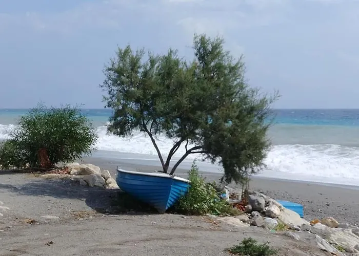 住宿加早餐酒店 内瑞迪住宿加早餐旅馆 美利托迪波尔图萨尔维