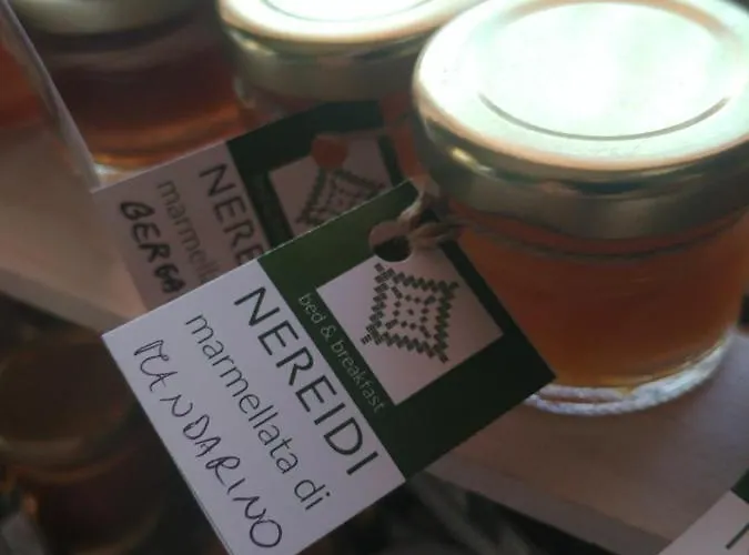 内瑞迪住宿加早餐旅馆 住宿加早餐酒店