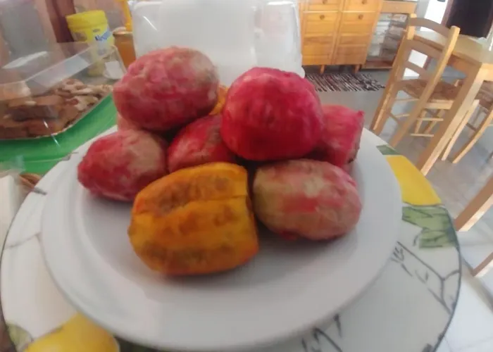 住宿加早餐酒店 内瑞迪住宿加早餐旅馆 4*