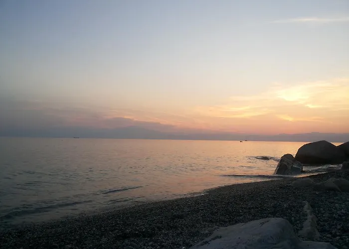 住宿加早餐酒店 内瑞迪住宿加早餐旅馆